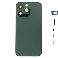 Achterkant (excl. Logo) - Groen, Voor iPhone 13 Pro