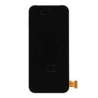 OLED Touchscreen, Google Pixel 9 Pro